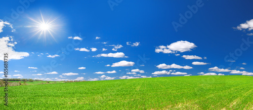 spring rural landscape with field and blue sky, a panorama
