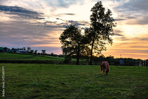 Fototapeta Naklejka Na Ścianę i Meble -  Kentucky sunset