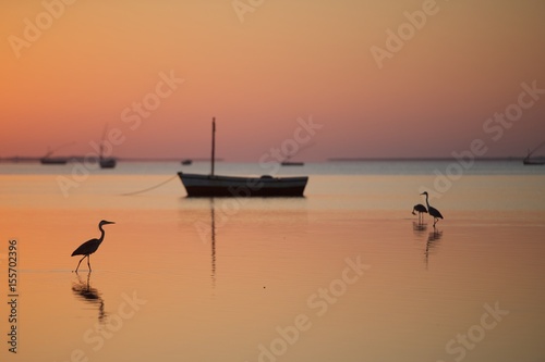 Cuadro en lienzo Peaceful sunrise