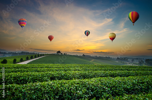 Colorful hot-air balloons flying over tea plantation landscape at sunset