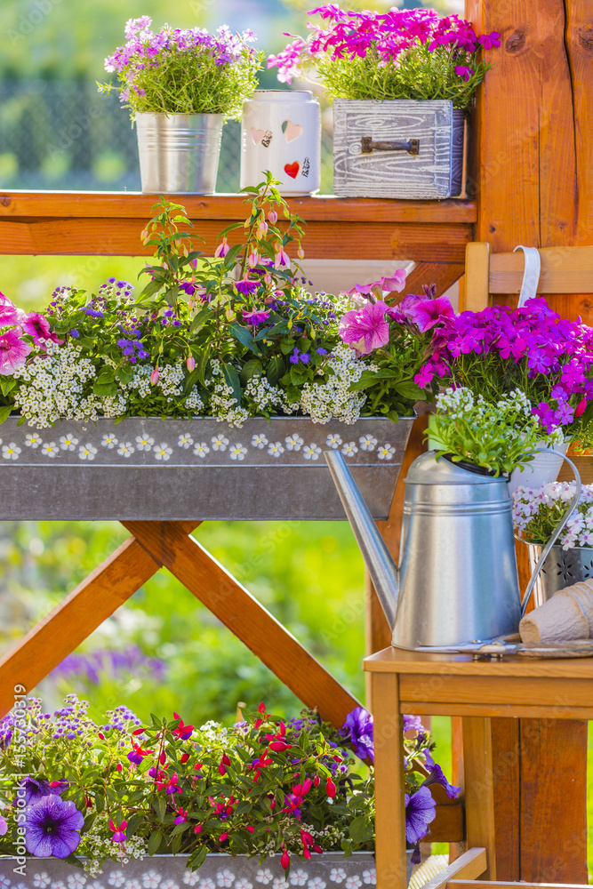 Blooming flowers in the balcony boxes and flowers decoration. Blooming flowers in the balcony boxes and flowers decoration.