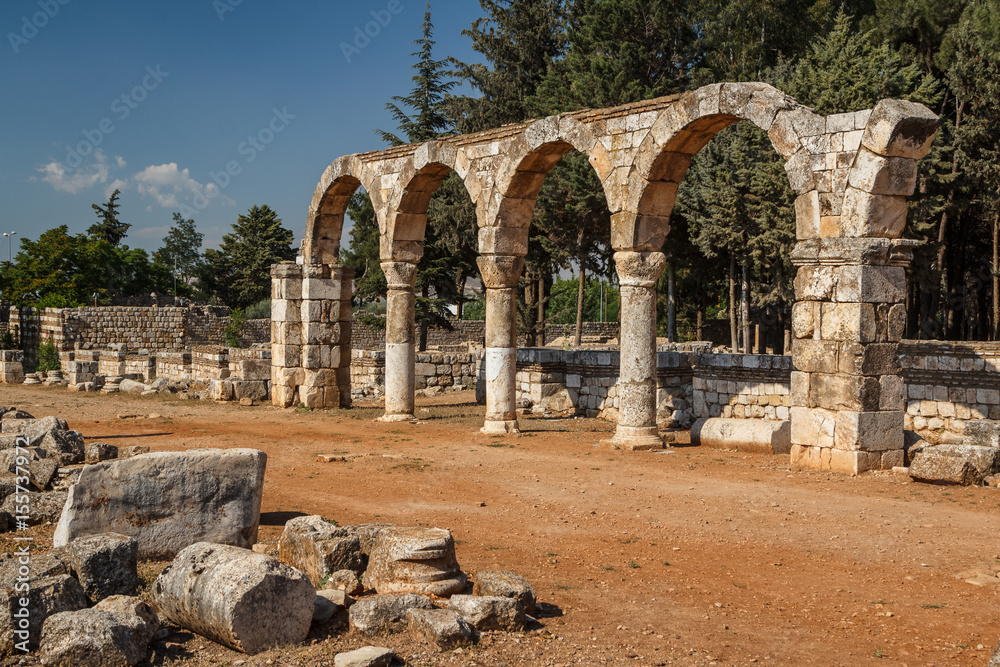 Ruins of the umayyad medieval city Anjar, Lebanon