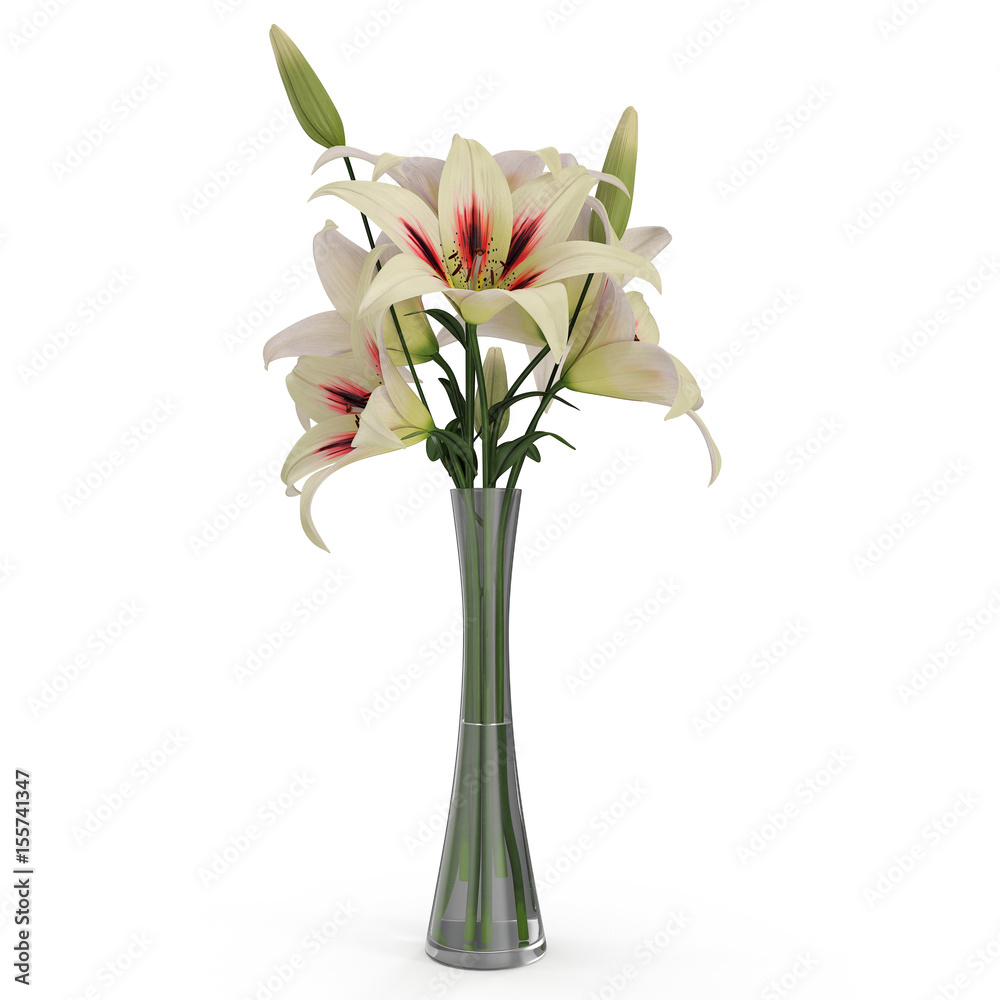 White Lily Vase on white. 3D illustration
