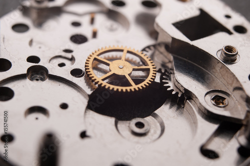 Detail of watch machinery on the table.