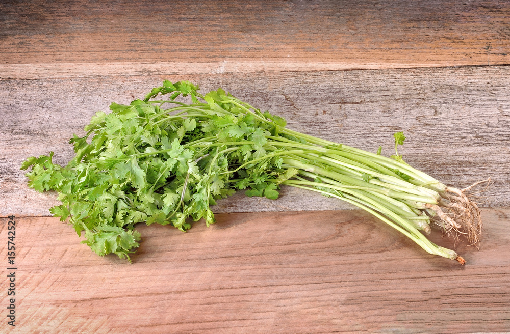 Fresh green cilantro, coriander leaves on wooden Fresh green cilantro, coriander leaves on wooden