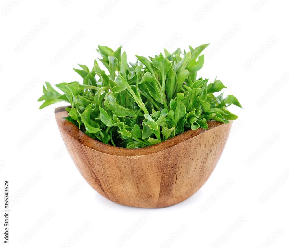 Fresh watercress isolated on white background Fresh watercress isolated on white background