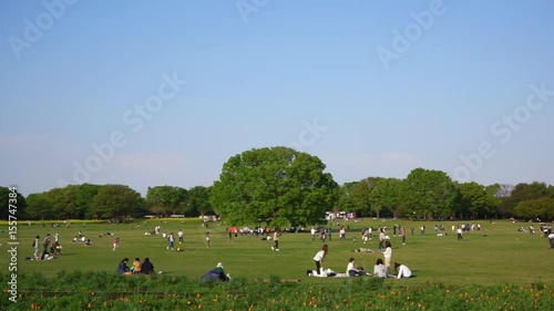 ゴールデンウィークの公園の風景 video
