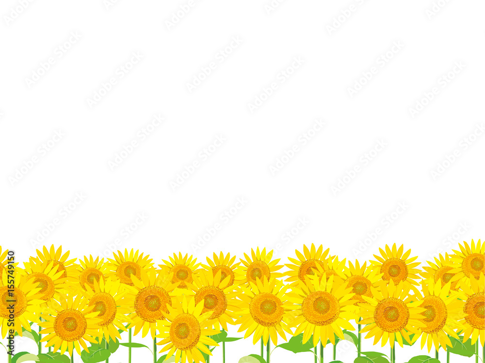 ひまわり畑 イラスト Stock Vector Adobe Stock