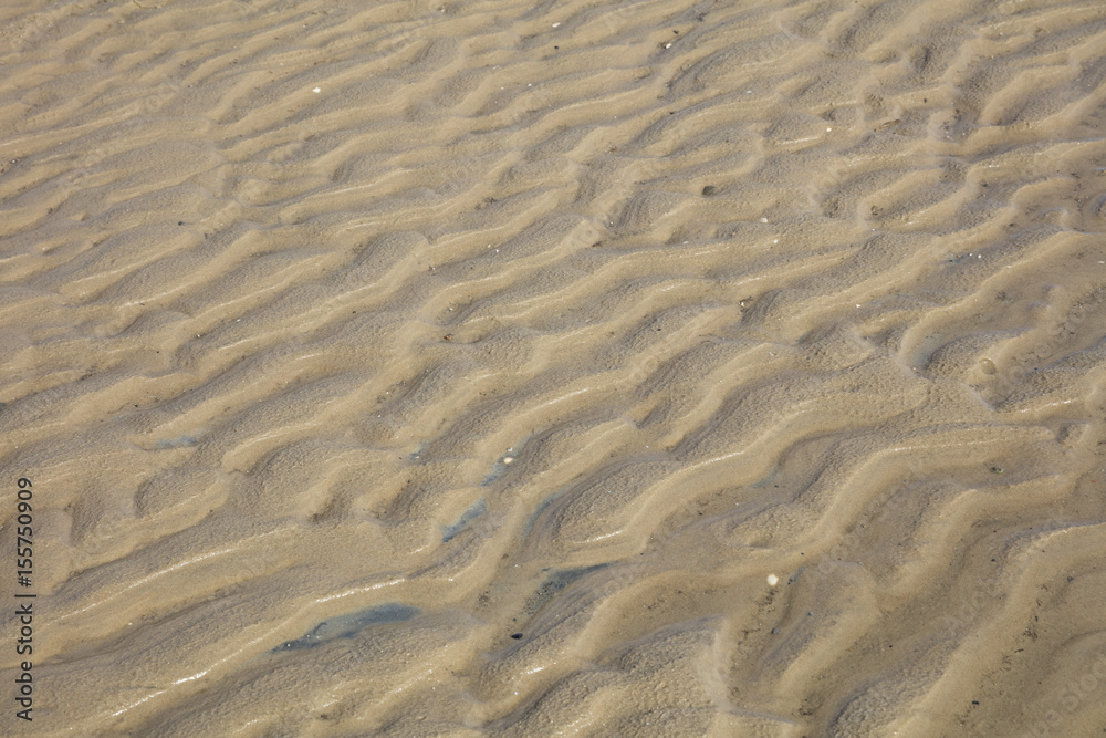 Strukturen im Watt, Nordsee, Niedersachsen, Deutschland Strukturen im Watt, Nordsee, Niedersachsen, Deutschland