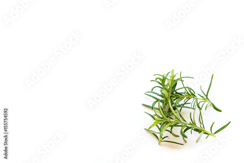 Fresh branches with leaves of organic rosemary isolated on a white background with a blur effect 