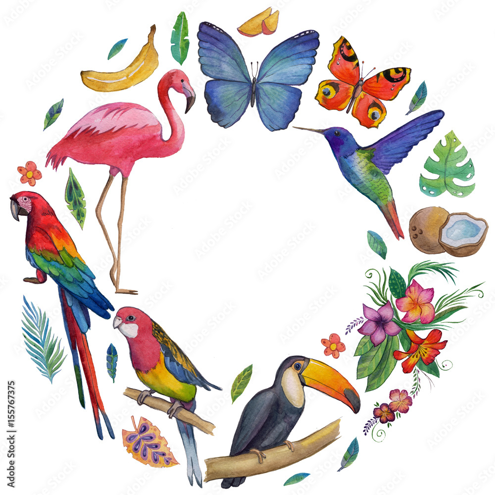 Tropical garden Birds, butterflies, parrots, flowers, fruits, palms Toucan Flamingo Сockatoo Hummingbird Hand drawn watercolor images, icons Tropical summer vacation