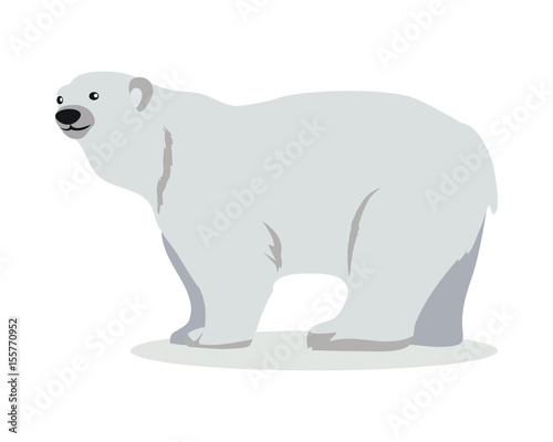 Polar Bear Cartoon Flat Vector Illustration