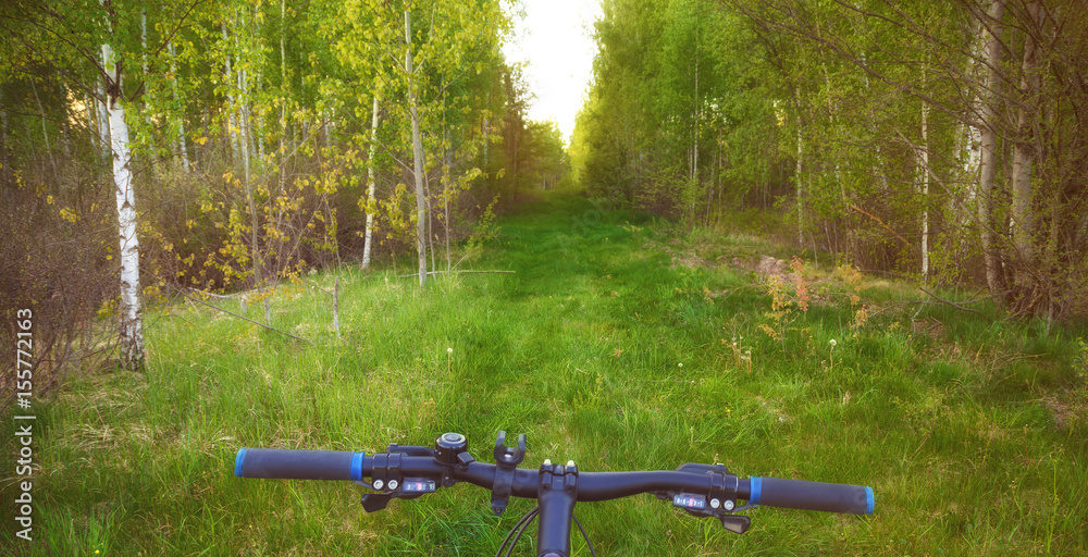 Walking on a bike in the forest on a sunny evening. First-person view. Walking on a bike in the forest on a sunny evening. First-person view.