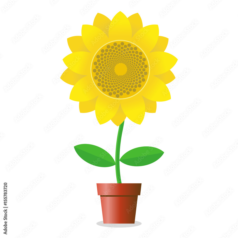 Obraz premium sunflower in a pot