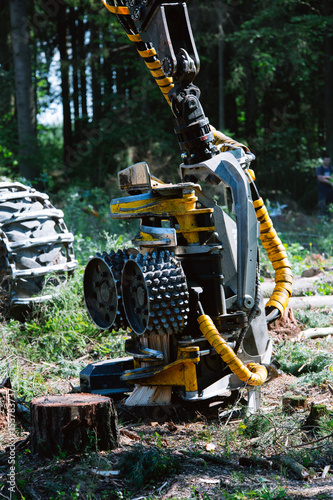 Timber harvester  operating head. Forest cutting. Forest cutting with the help of a harvester. Forest cutting with the help of special equipment. 
