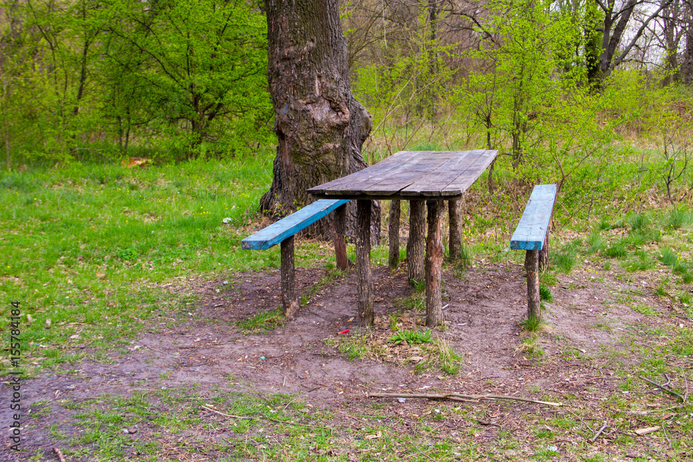 Picnic site wooden table and benches in forest park Picnic site wooden table and benches in forest park