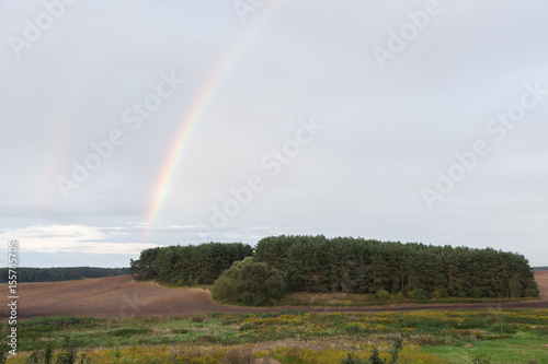 Landscape, view of the forest near the field, rainbow.
