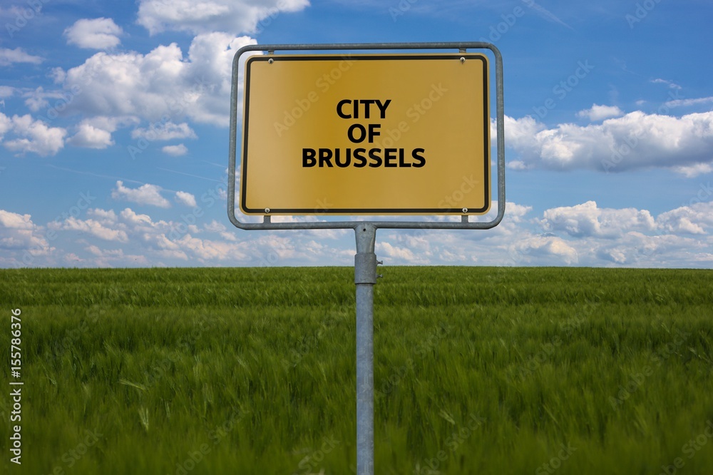 CITY OF BRUSSELS - image with words associated with the topic EUROPEAN_UNION, word cloud, cube, letter, image, illustration