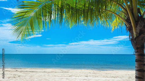 Fototapeta Naklejka Na Ścianę i Meble -  Beautiful tropical beach for relaxation with coconut tree palm