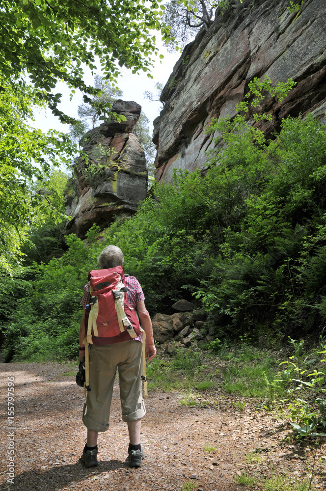 buntsandsteinfelsen in der südpfalz