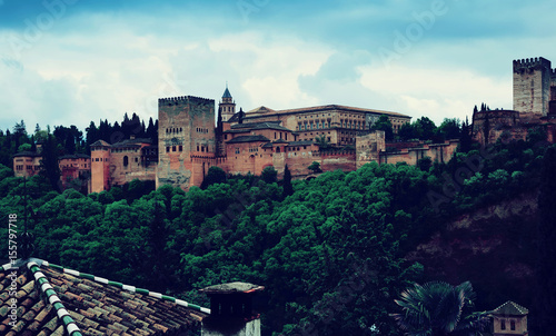 view of the Nazaries palaces of Alhambra. Granada
