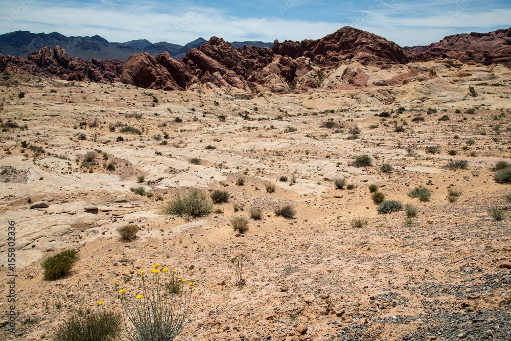Valley of Fire - Mountains of Colour