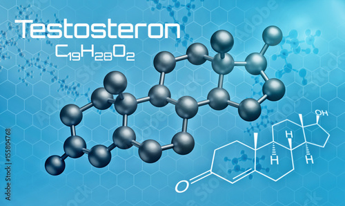 Dreidimensionale Molekülstruktur von Testosteron