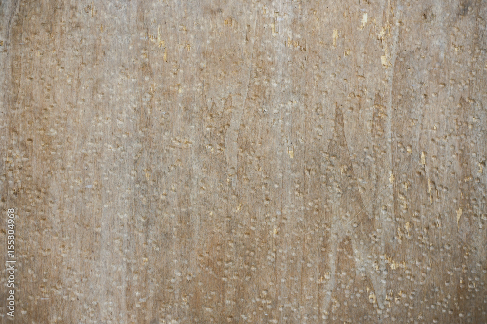 Fototapeta premium Wood wall