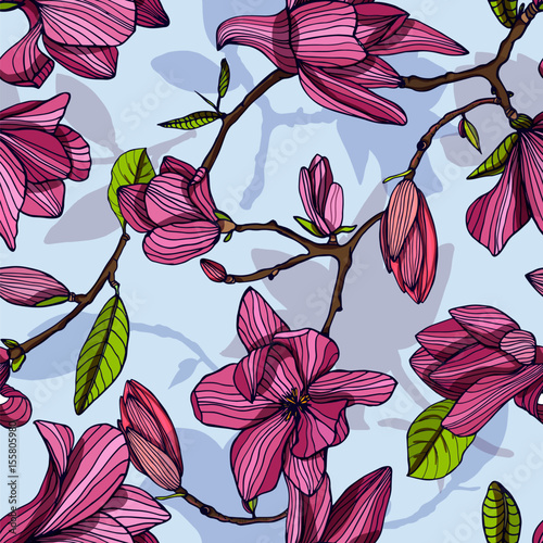 Flowering magnolia, pink color