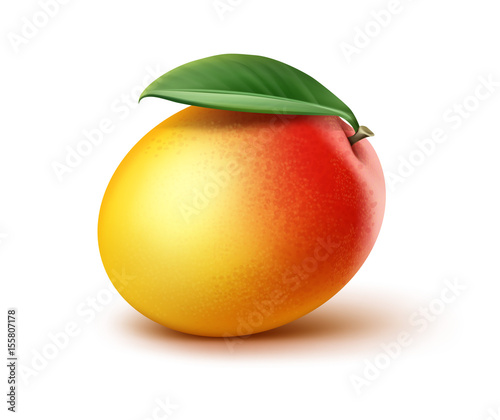 Mango with leaf