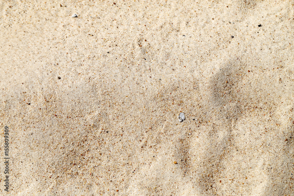 Fototapeta premium Beautiful yellow sand