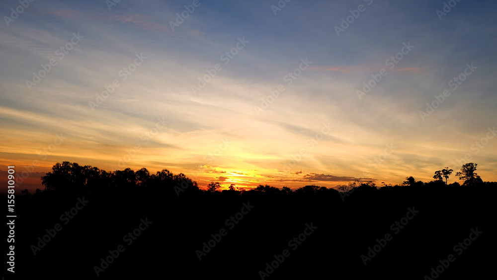 silhouette shot image of tree and sunset sky in background