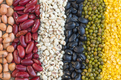Different kinds of bean seeds 