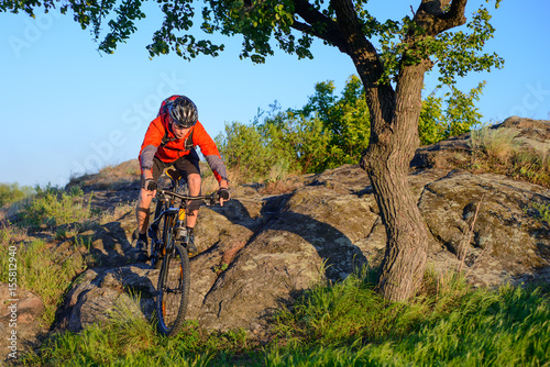 Cyclist in Red Jacket and Helmet Riding Mountain Bike Down Rocky Hill near Beautiful Green Tree. Adventure and Extreme Sport Concept.