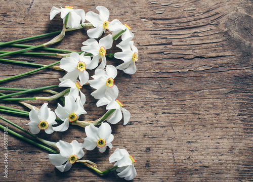 Fototapeta Naklejka Na Ścianę i Meble -  narcissus on wooden background