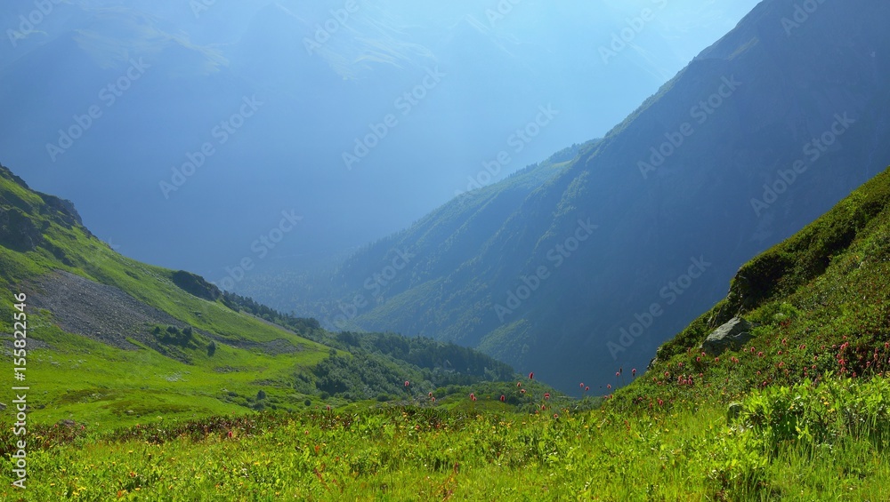 Fototapeta premium Morning in valley