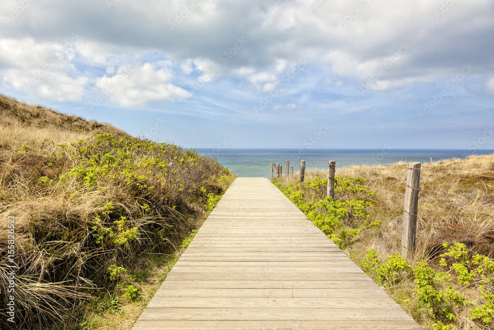 Path to the beach of Kampen, Sylt