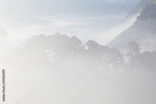 Natural morning scene with fog on hill
