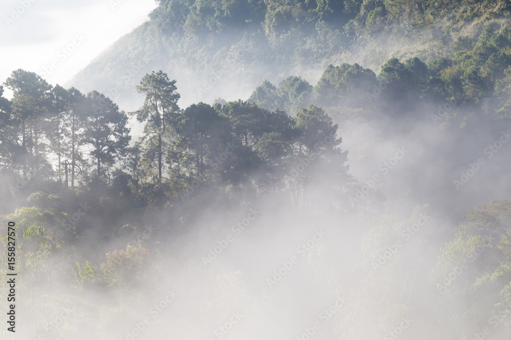 Fototapeta premium Mountain scenic haze foggy in the morning while sunrise