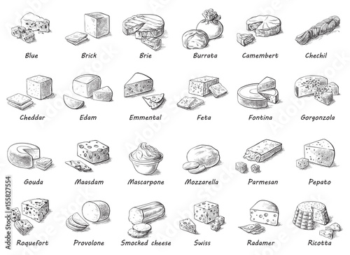 Graphic sketch of different cheeses. Vector set of realistic outline dairy products. Isolated curds collection used for logo design, recipe book, advertising cheese or restaurant menu. photo
