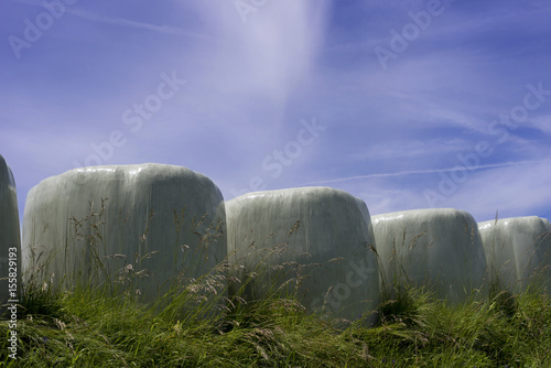 boules de foin enrubannées