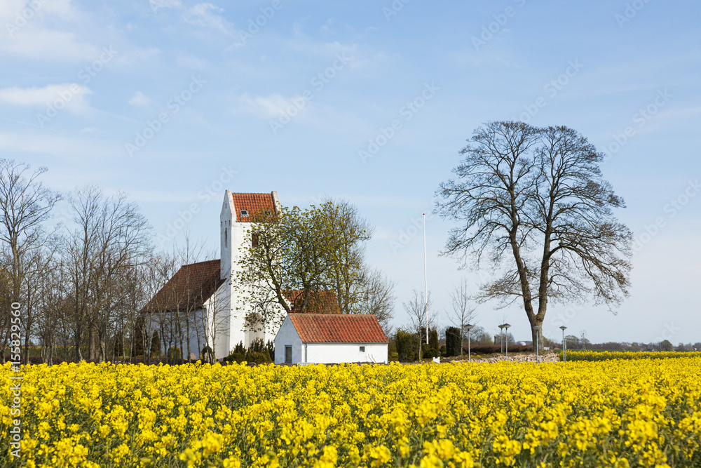 Karlby church and rape fields, Djursland, Denmark