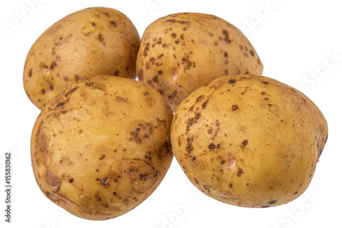 有機栽培のじゃがいも　Organically grown potatoes