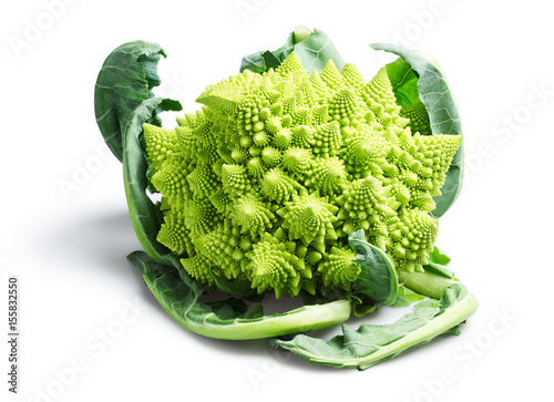 Romanesco Broccoli or Cauliflower on White Background photo