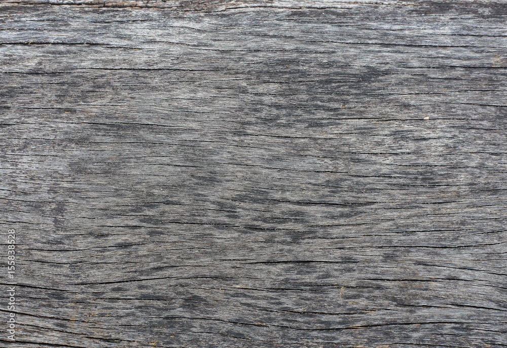 wood texture wood texture