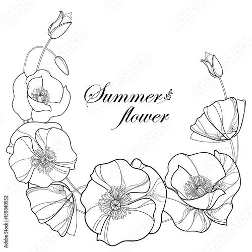 Vector wreath with outline Poppy flower and bud in black isolated on white background. Floral elements in contour style with poppy for summer design and coloring book. Symbol of Remembrance Day.