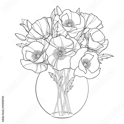 Vector bouquet with outline Poppy flower in the round transparent vase isolated on white. Ornate floral in contour style with poppy for summer design and coloring book. Symbol of Remembrance Day.