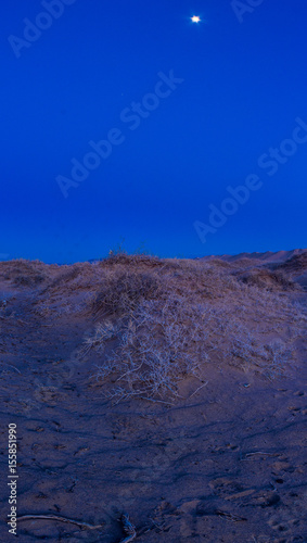 beautiful night landscape in desert 