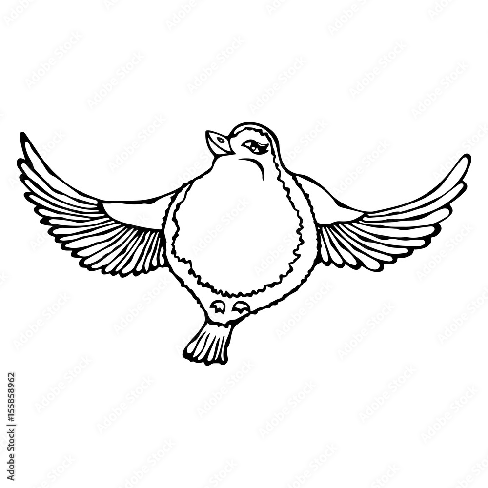 Fototapeta premium Cute Adorable Bird Flying. Isolated On a White Background Doodle Cartoon Hand Drawn Sketch Vector