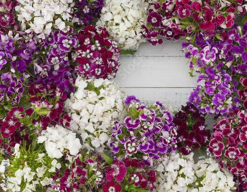 Sweet william flowers background with round copy space